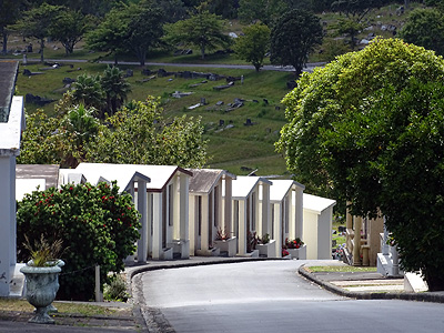 Waikumete Cemetery - Glenview Road - Glen Eden - Auckland - New Zealand - 18 February 2015 - 11:15