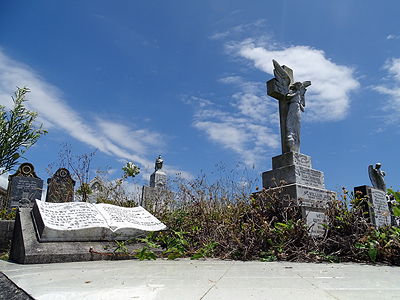 St Patricks Catholic Cemetery - Church Crescent - Panmure - Auckland - New Zealand - 29 December 2014 - 12:56