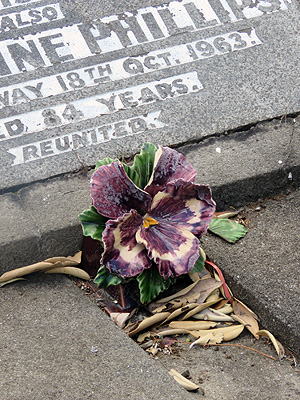 Manukau Memorial Gardens - Puhinui Road - Auckland - New Zealand - 16 January 2016 - 17:14