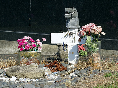 Waikumete Cemetery - Glenview Road - Glen Eden - Auckland - New Zealand - 18 February 2015 - 10:16