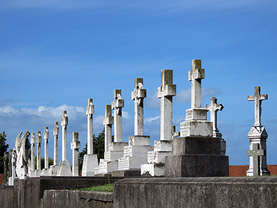 St Patricks Catholic Cemetery - Church Crescent - Panmure - Auckland - New Zealand - 13 December 2015 - 17:24