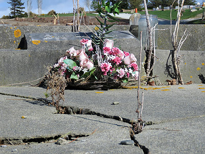 Palmerston Cemetery - New Zealand - 8 October 2015 - 9:40