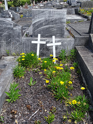 Hillsborough Cemetery - Clifton Road - Auckland - New Zealand - 5 December 2014 - 10:34