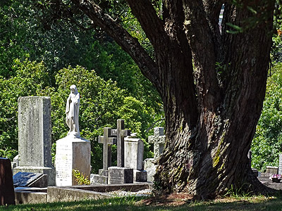 Purewa Cemetery - Meadowbank - Auckland - New Zealand - 25 January 2015 - 15:09