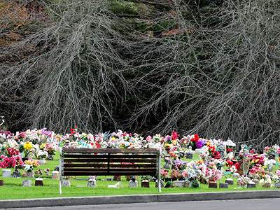 Memory Park - Schnapper Rock Road - Albany - Auckland - New Zealand - 23 May 2014 - 14:59