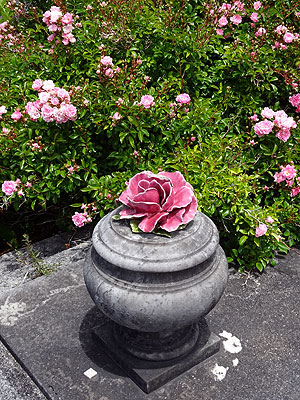 Hillsborough Cemetery - Clifton Road - Auckland - New Zealand - 5 December 2014 - 11:59