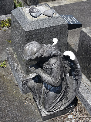 Hillsborough Cemetery - Clifton Road - Auckland - New Zealand - 5 December 2014 - 11:08