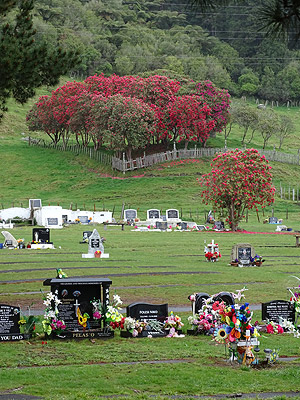 Kauae Cemetery - Henderson Road - Ngongotaha - Rotorua - New Zealand - 12 September 2014 - 14:33