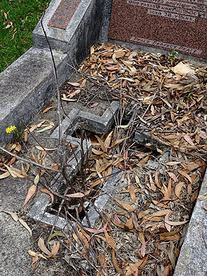 Hillsborough Cemetery - Clifton Road - Auckland - New Zealand - 5 December 2014 - 11:44