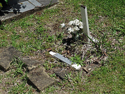 Albany Presbyterian Cemetery - Albany Highway - Auckland - New Zealand - 19 November 2014 - 13:38