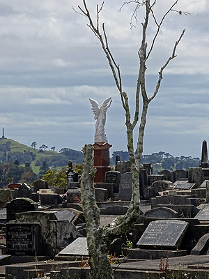 Hillsborough Cemetery - Clifton Road - Auckland - New Zealand - 5 December 2014 - 10:16