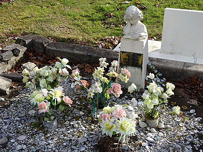 Rotorua Cemetery - Sala Street - Rotorua - New Zealand - 12 August 2014 - 17:06