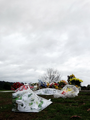 Memorial Park - Schnapper Rock Road - Albany - Auckland - New Zealand - 23 May 2014 - 15:34