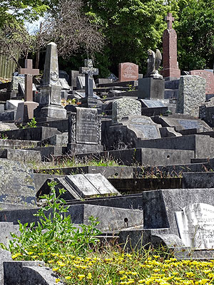 Hillsborough Cemetery - Clifton Road - Auckland - New Zealand - 5 December 2014 - 10:43