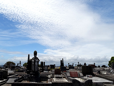 Hillsborough Cemetery - Clifton Road - Auckland - New Zealand - 5 December 2014 - 11:21