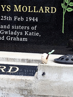 Hillsborough Cemetery - Clifton Road - Auckland - New Zealand - 5 December 2014 - 11:56