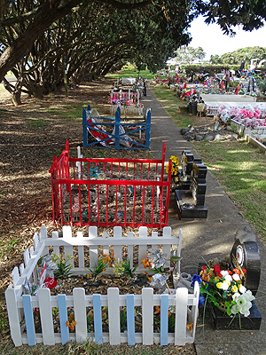 Waikaraka Cemetery - Onehunga - Auckland - New Zealand - 2 March 2015 - 9:32