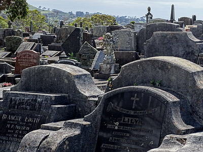 Hillsborough Cemetery - Clifton Road - Auckland - New Zealand - 5 December 2014 - 10:19