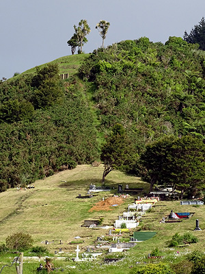 Mount Taupiri - Waikato - New Zealand - 11 November 2014 7:37