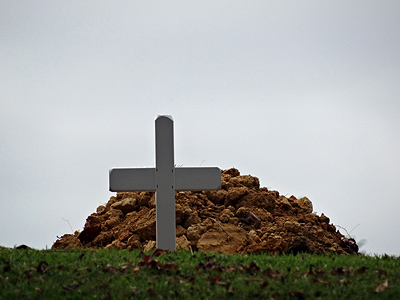 Memorial Park - Schnapper Rock Road - Albany - Auckland - New Zealand - 23 May 2014 - 15:16