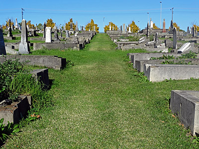 O'Neill's Point Cemetery - Bayswater Road - Auckland - New Zealand - 13 June 2014 - 13:52