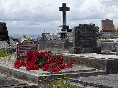 Hillsborough Cemetery - Clifton Road - Auckland - New Zealand - 5 December 2014 - 11:24