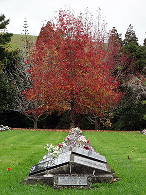 Memorial Park - Schnapper Rock Road - Albany - Auckland - 23 May 2014 - 15:39