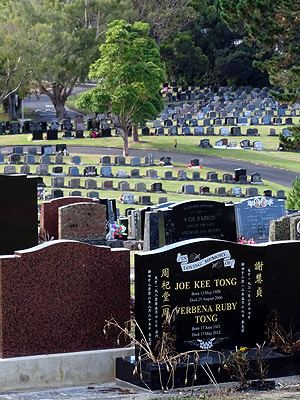 Waikumete Cemetery - Glenview Road - Glen Eden - Auckland - New Zealand - 18 February 2015 - 10:11