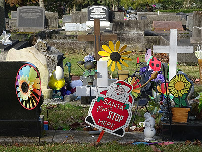 Rotorua Cemetery - Sala Street - New Zealand - 12 August 2014 - 16:52