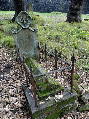 Grafton Cemetery West - Symonds Street - Auckland - 29 May 2014 - 12:16
