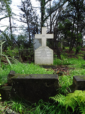 Symonds Street Cemetery North - Auckland - New Zealand - 1 July 2014 - 11:38