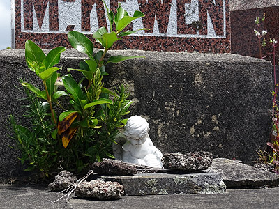 Hillsborough Cemetery - Clifton Road - Auckland - New Zealand - 5 December 2014 - 11:32