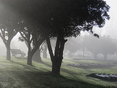 North Shore Memorial Park - Schnapper Rock Road - Albany - Auckland - New Zealand - 13 August 2014 - 8:28