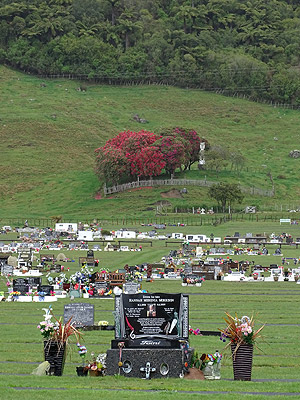 Kauae Cemetery - Henderson Road - Ngongotaha - Rotorua - New Zealand - 12 September 2014 - 14:59