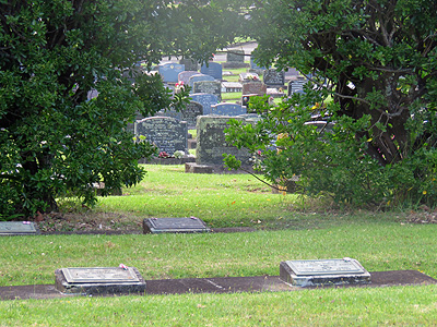 Manukau Memorial Gardens - Puhinui Road - Auckland - New Zealand - 16 January 2016 - 17:17