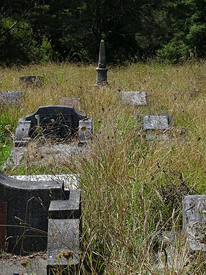Waikumete Cemetery - Glenview Road - Glen Eden - Auckland - New Zealand - 18 February 2015 - 11:28
