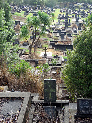 Hillsborough Cemetery - Clifton Road - Auckland - New Zealand - 19 February 2016 - 8:32