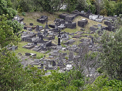 Hillsborough Cemetery - Clifton Road - Auckland - New Zealand - 5 December 2014 - 11:47