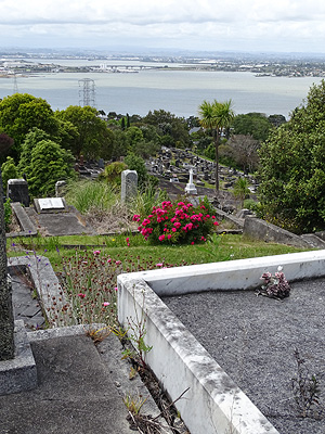 Hillsborough Cemetery - Clifton Road - Auckland - New Zealand - 5 December 2014 - 11:37