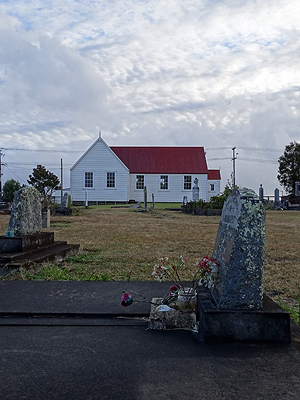 Scott Road - Hobsonville - Auckland - New Zealand - 7 March 2015 - 18:52