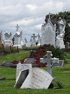 St Patricks Catholic Cemetery - Church Crescent - Panmure - Auckland - New Zealand - 29 December 2014 - 12:52