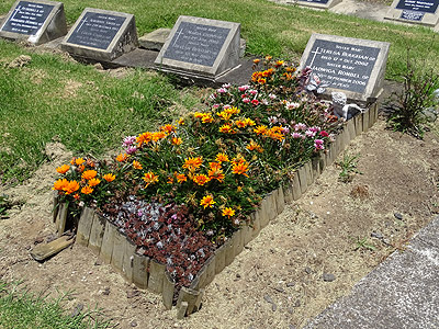 St Patricks Catholic Cemetery - Church Crescent - Panmure - Auckland - New Zealand - 29 December 2014 - 13:08