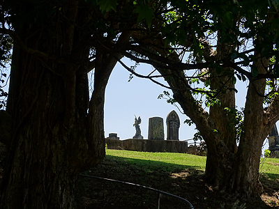 Purewa Cemetery - Meadowbank - Auckland - New Zealand - 25 January 2015 - 14:48