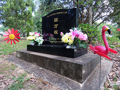 Manukau Memorial Gardens - Puhinui Road - Auckland - New Zealand - 16 January 2016 - 17:32