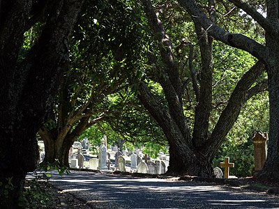 Purewa Cemetery - Meadowbank - Auckland - New Zealand - 25 January 2015 - 15:10