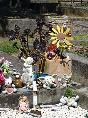 Purewa Cemetery - Meadowbank - Auckland - New Zealand - 25 January 2015 - 15:12