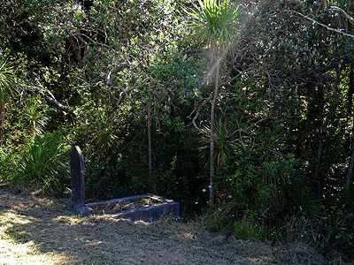 Waikumete Cemetery - Glenview Road - Glen Eden - Auckland - New Zealand - 13 February 2015 - 16:50