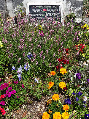 Hillsborough Cemetery - Clifton Road - Auckland - New Zealand - 5 December 2014 - 10:14