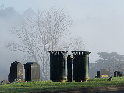 North Shore Memorial Park - Schnapper Rock Road - Albany - Auckland - New Zealand - 13 August 2014 - 8:44