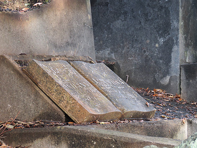 Hillsborough Cemetery - Clifton Road - Auckland - New Zealand - 19 February 2016 - 8:29